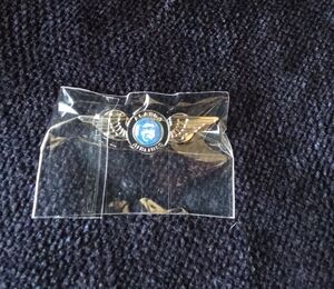 Alaska Airlines Winged Pin with Enamel Logo - Silver & Blue